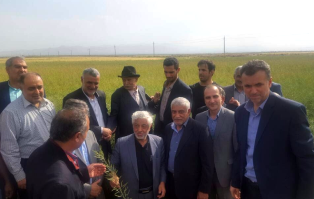 وزیر جه...